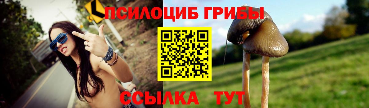 Галлюциногенные грибы Psilocybe Котельники